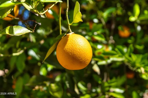 $970,000 | 3126 East Gary Street, Mesa, AZ 85213