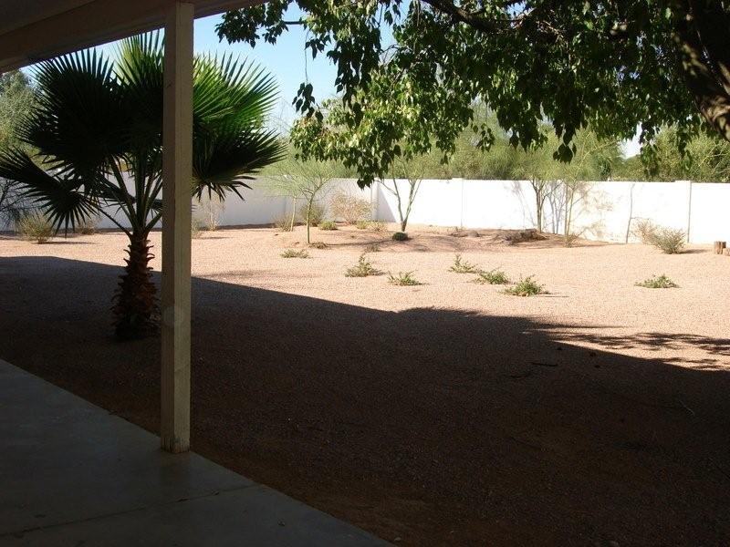 6634 East Doubletree Ranch Road Paradise Valley, AZ 85253 - Photo 10 of 10 backyard