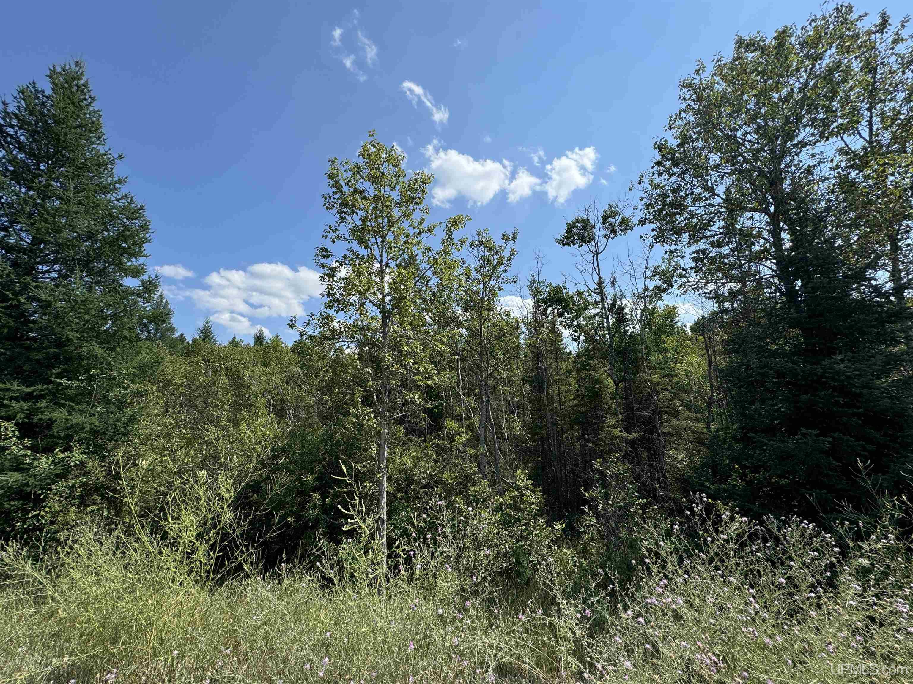 Tbd Cr 400 Road, Unit 23 Perronville, MI 49873 - Photo 19 of 19