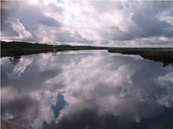 21 Duck Club Road Ravenel, SC 29470 - Photo 20 of 49 Poplar Grove Rantowles Creek