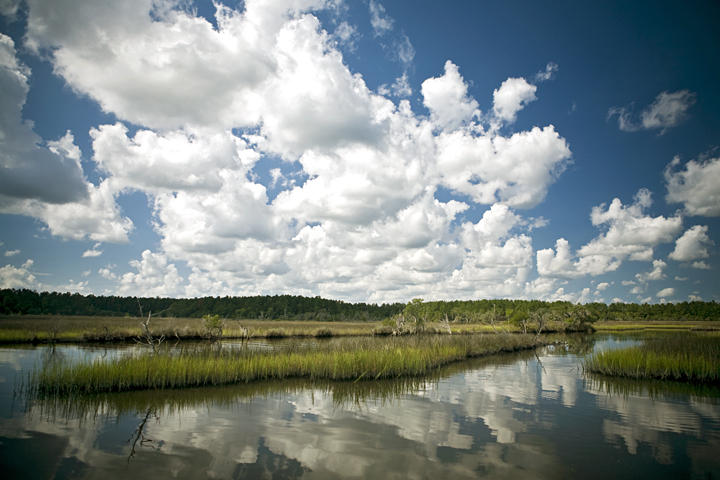 21 Duck Club Road Ravenel, SC 29470 - Photo 21 of 49 water view marsh view poplar grove