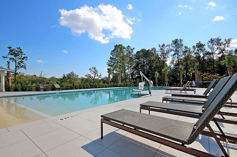 21 Duck Club Road Ravenel, SC 29470 - Photo 33 of 49 Pool3
