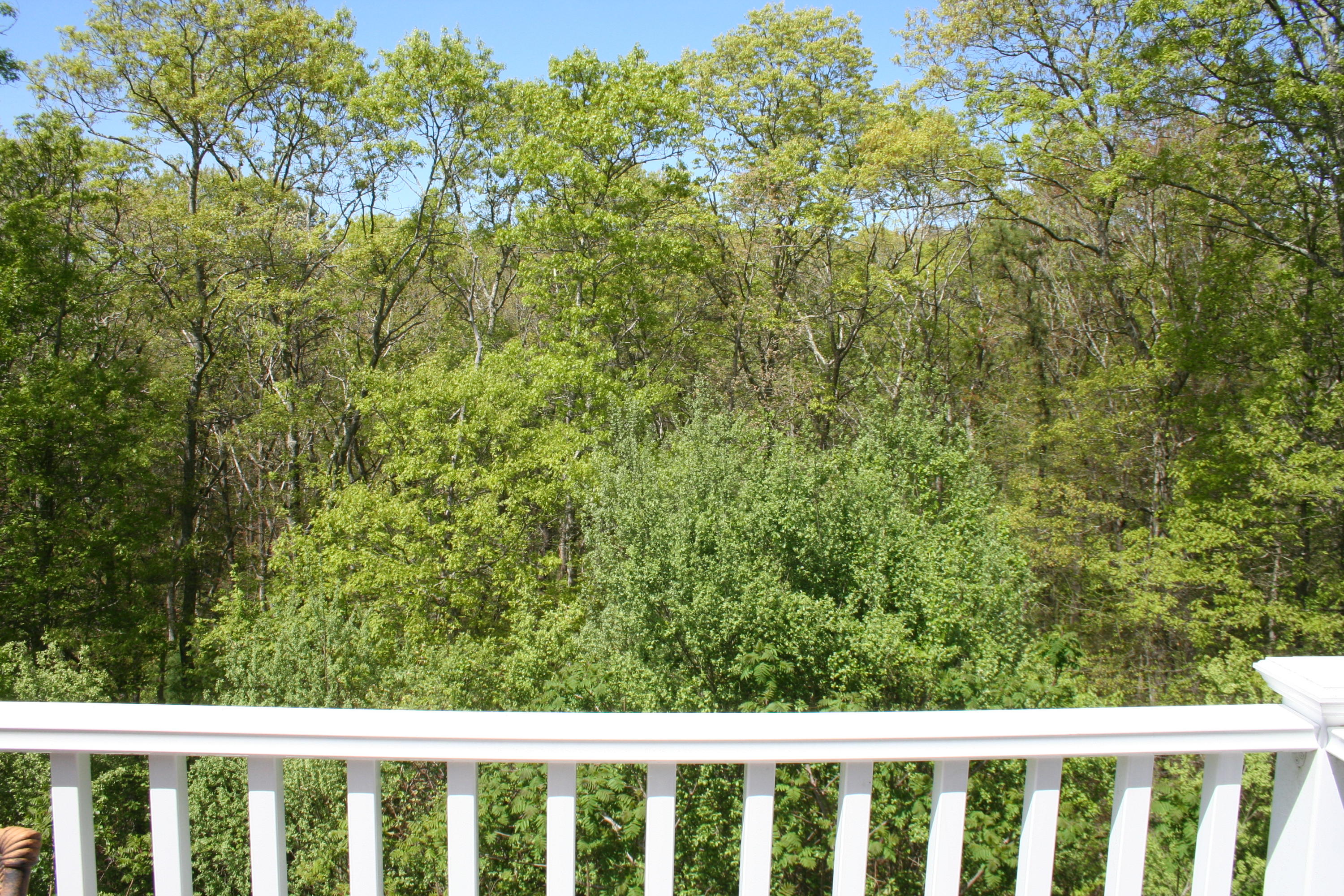 29 Christopher Hollow Road Sandwich, MA 02563 - Photo 26 of 29 IMG_4723