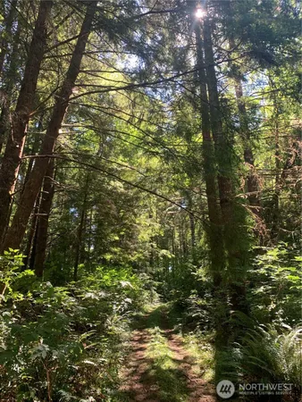 $149,000 | 285 Parpala Road, Naselle, WA 98638