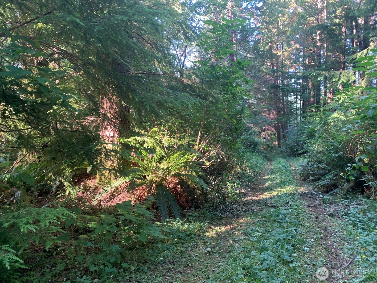 285 Parpala Road Naselle, WA 98638 - Photo 15 of 20