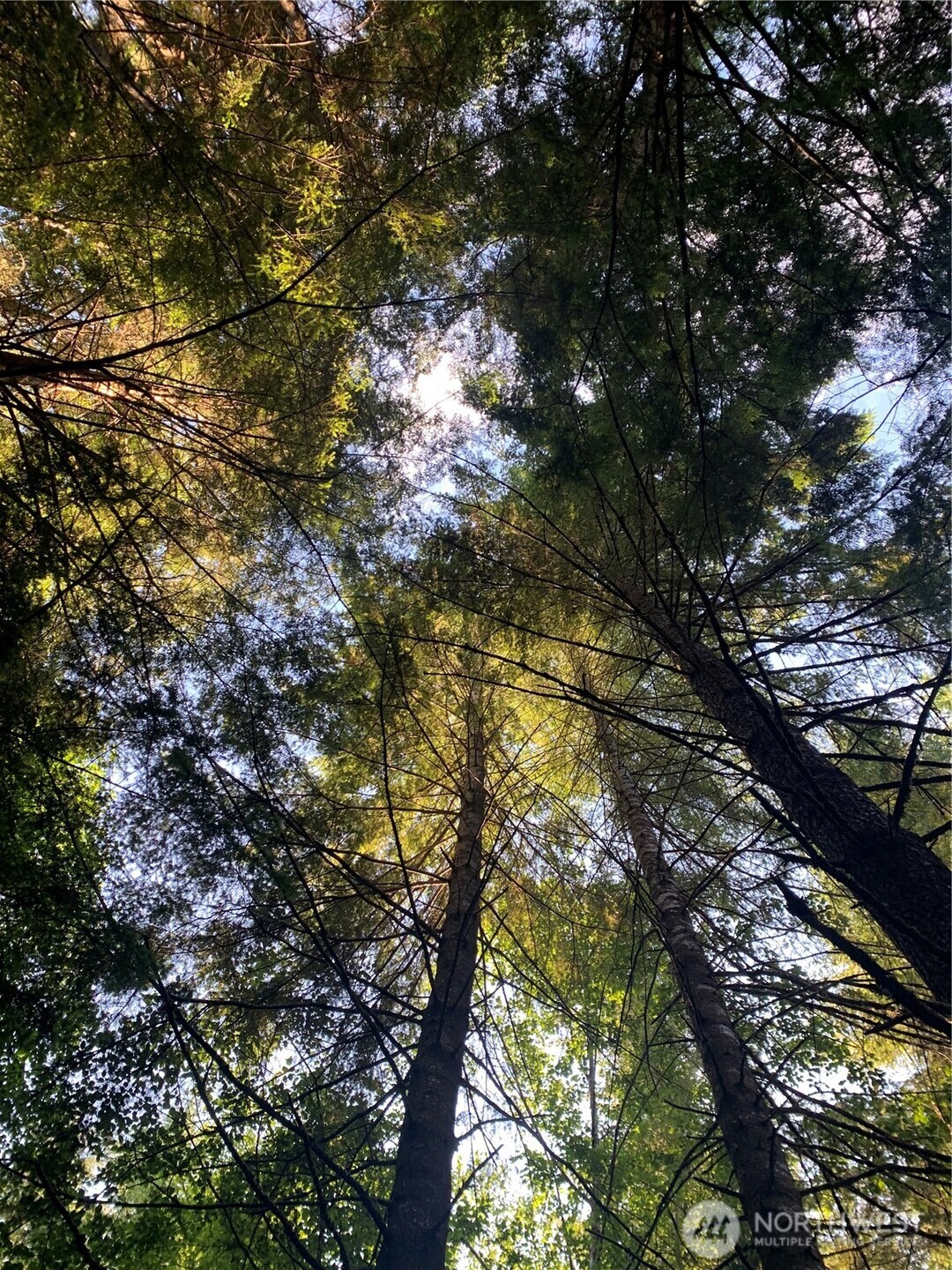 285 Parpala Road Naselle, WA 98638 - Photo 16 of 20