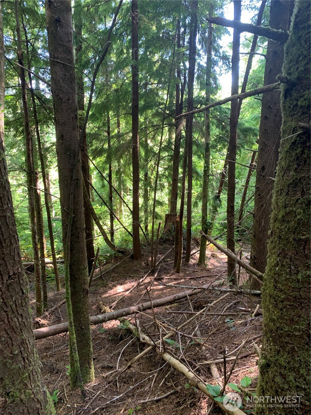 285 Parpala Road Naselle, WA 98638 - Photo 18 of 20