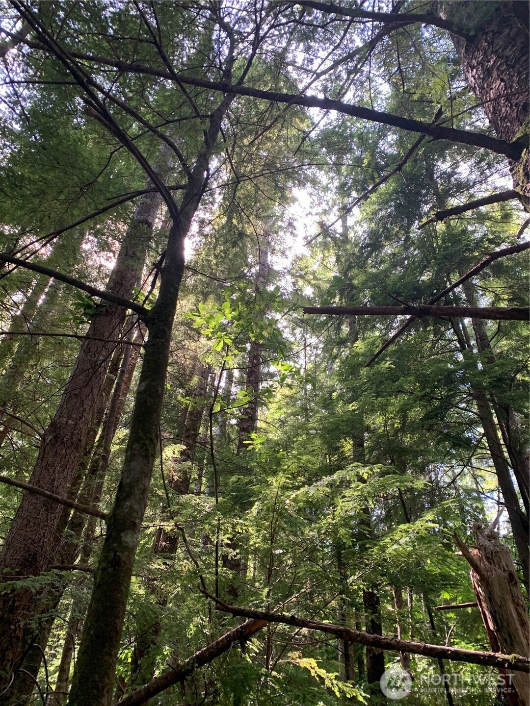 285 Parpala Road Naselle, WA 98638 - Photo 19 of 20