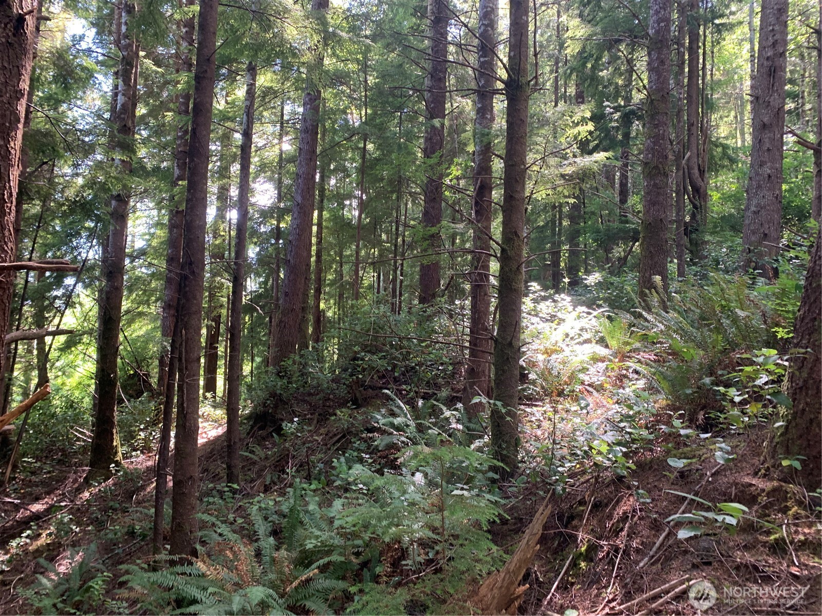 285 Parpala Road Naselle, WA 98638 - Photo 5 of 20