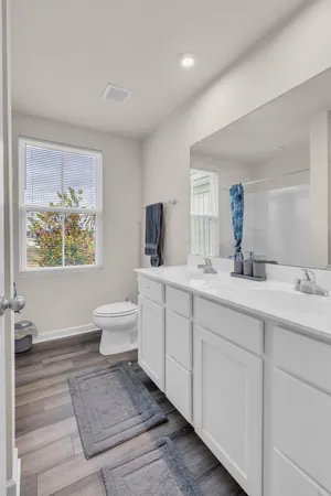 a bathroom with a double vanity sink mirror and toilet