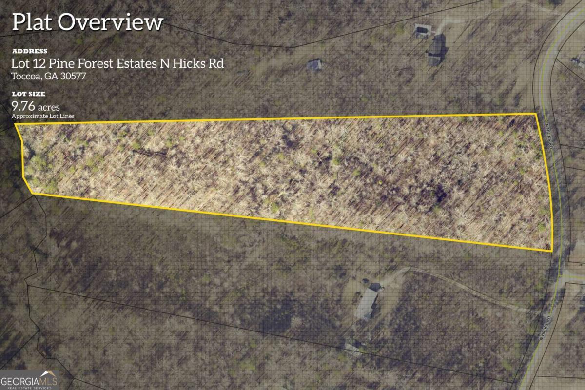 Lot 12 North Hicks Road Toccoa, GA 30577 - Photo 25 of 25