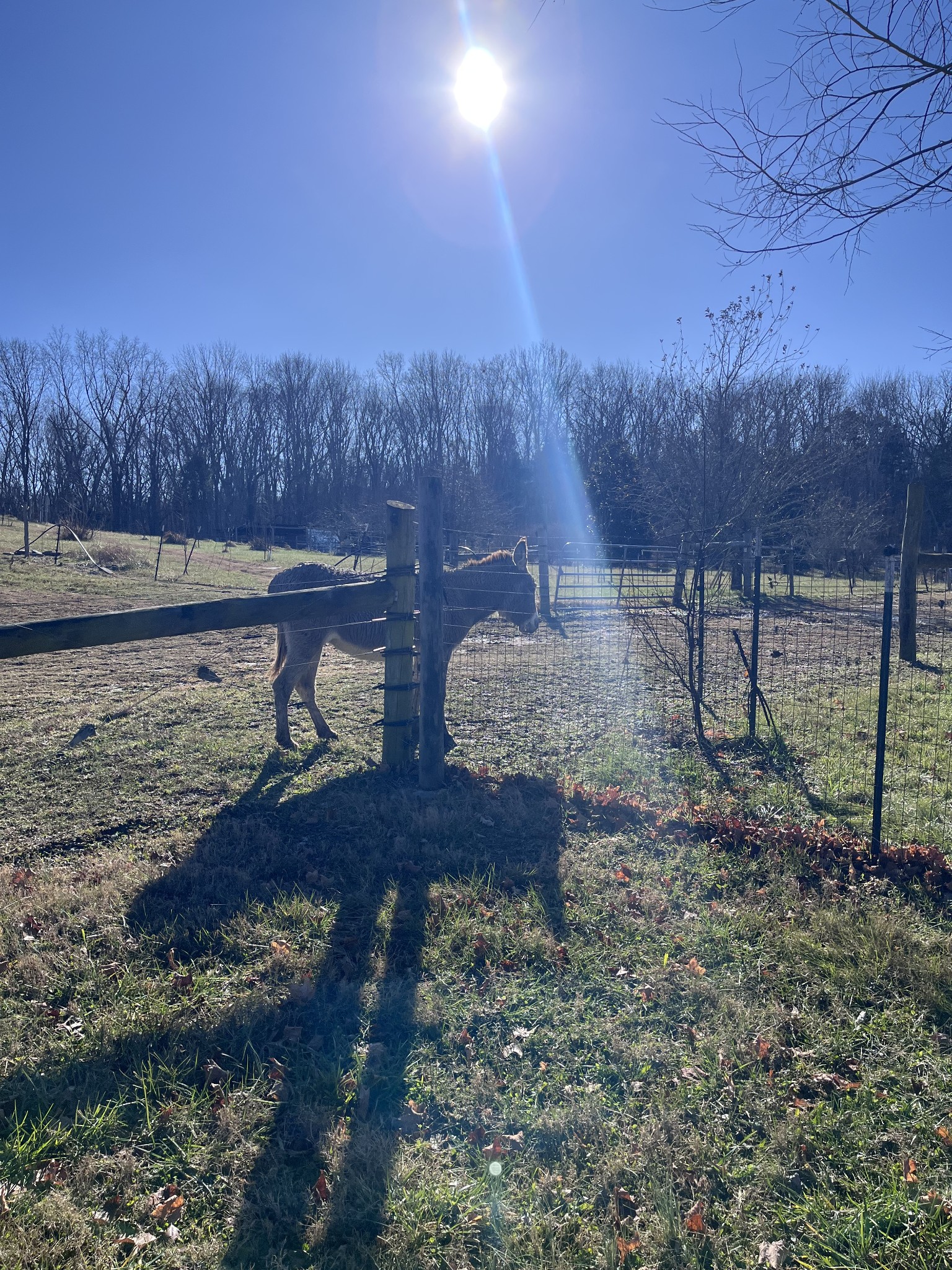 2160 Cedar Grove Road Lebanon, TN 37087 - Photo 78 of 100 Gallery Image 78