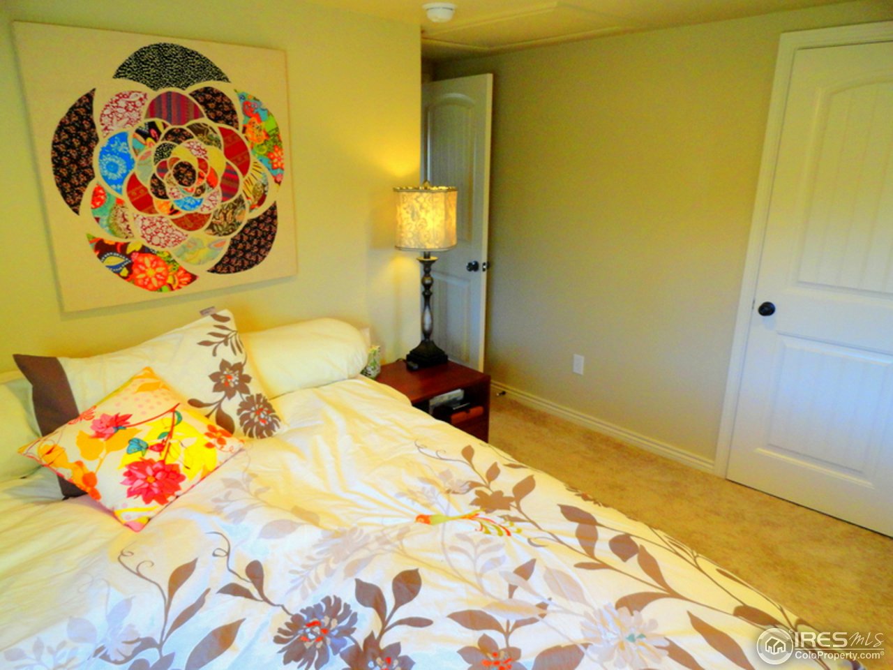8171 Hygiene Road Longmont, CO 80503 - Photo 21 of 25 Completely Updated