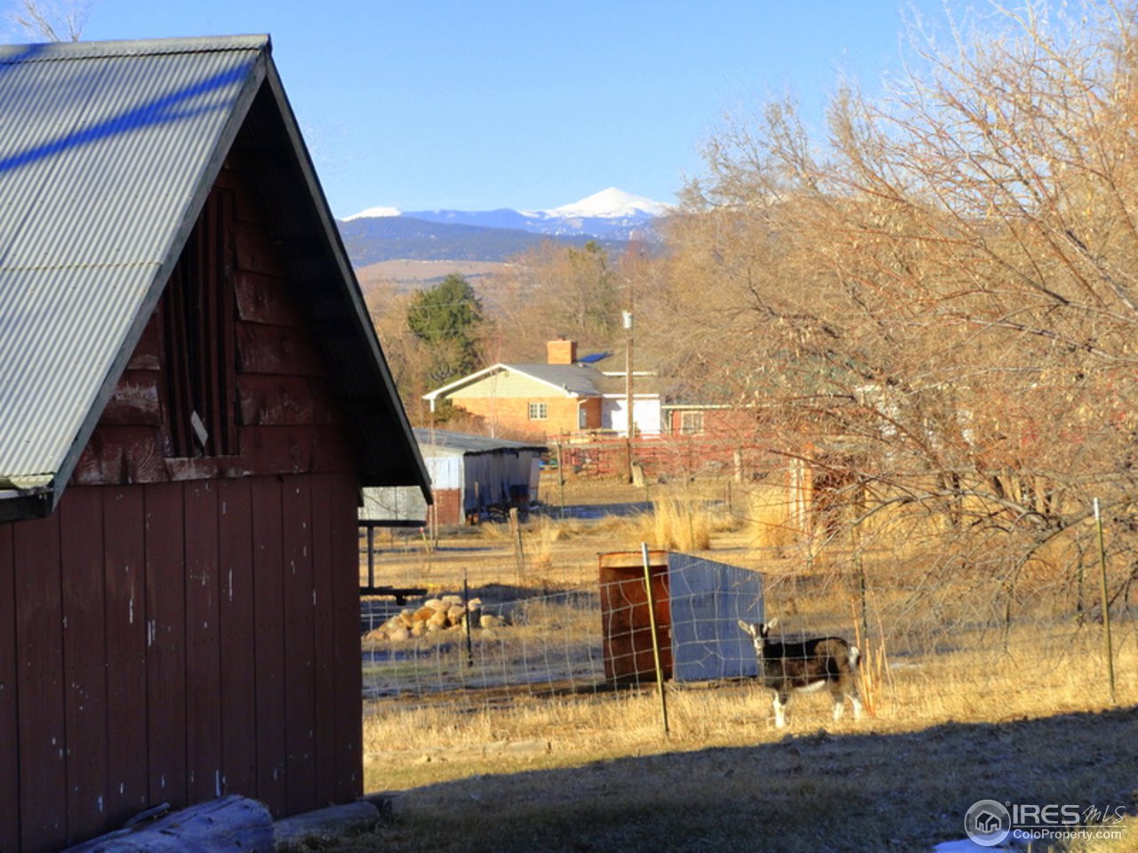 8171 Hygiene Road Longmont, CO 80503 - Photo 6 of 25 Barn and Western Views