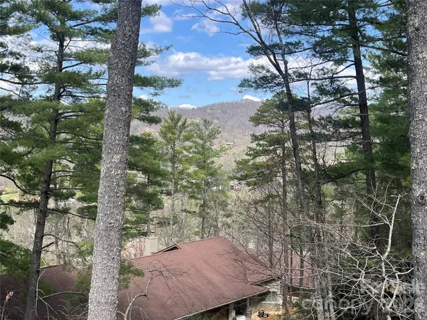 a view of backyard with green space