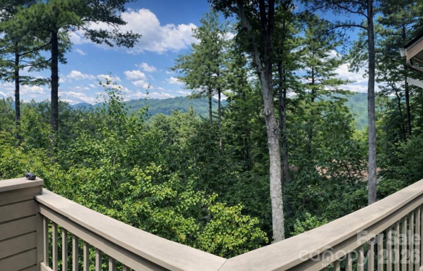 2902 Timber Trail Asheville, NC 28804 - Photo 2 of 16 a view of a balcony with lake view and mountain view