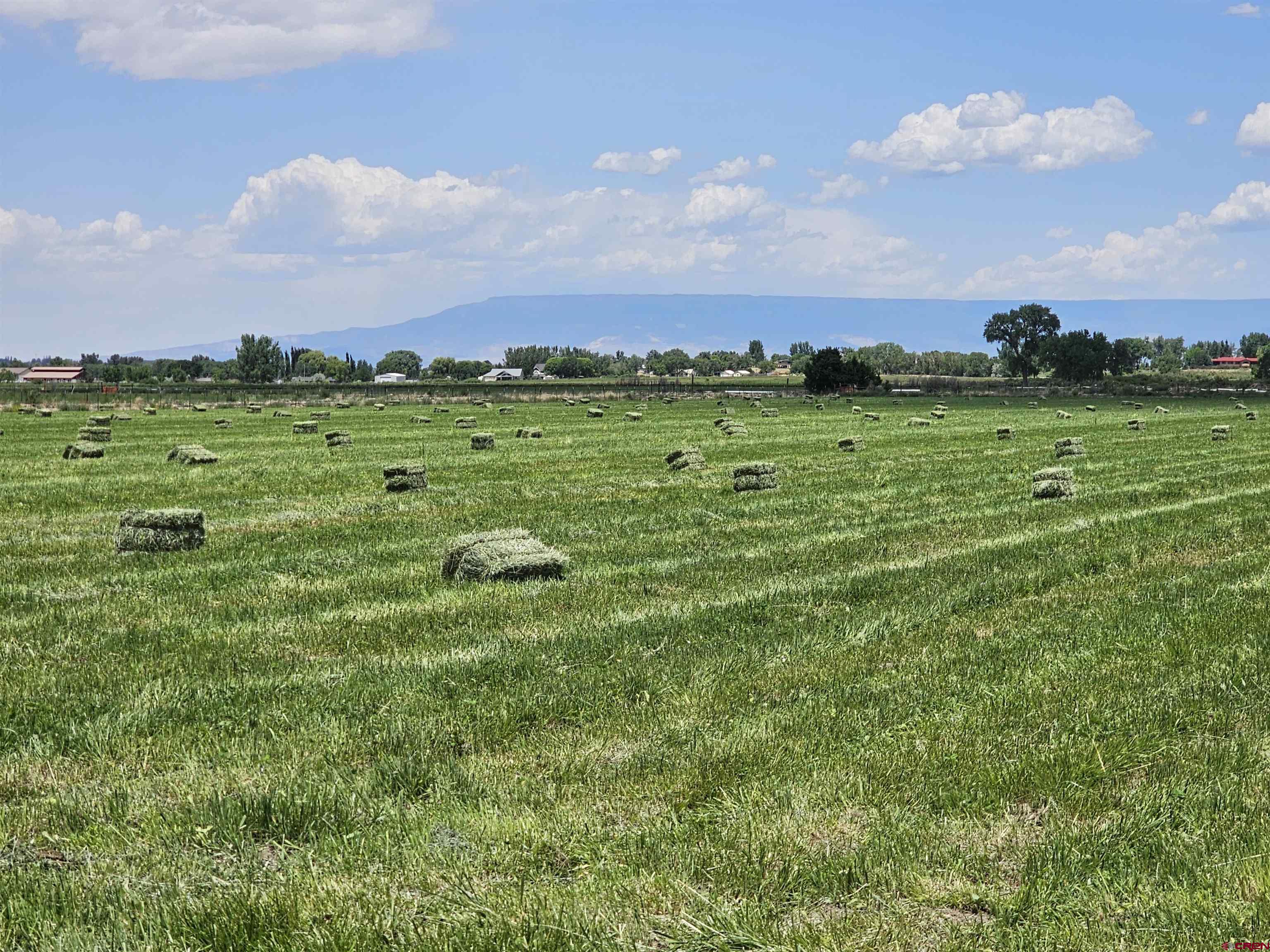 61611 Monroe Road Montrose, CO 81403 - Photo 31 of 35 a view of an outdoor space and a yard