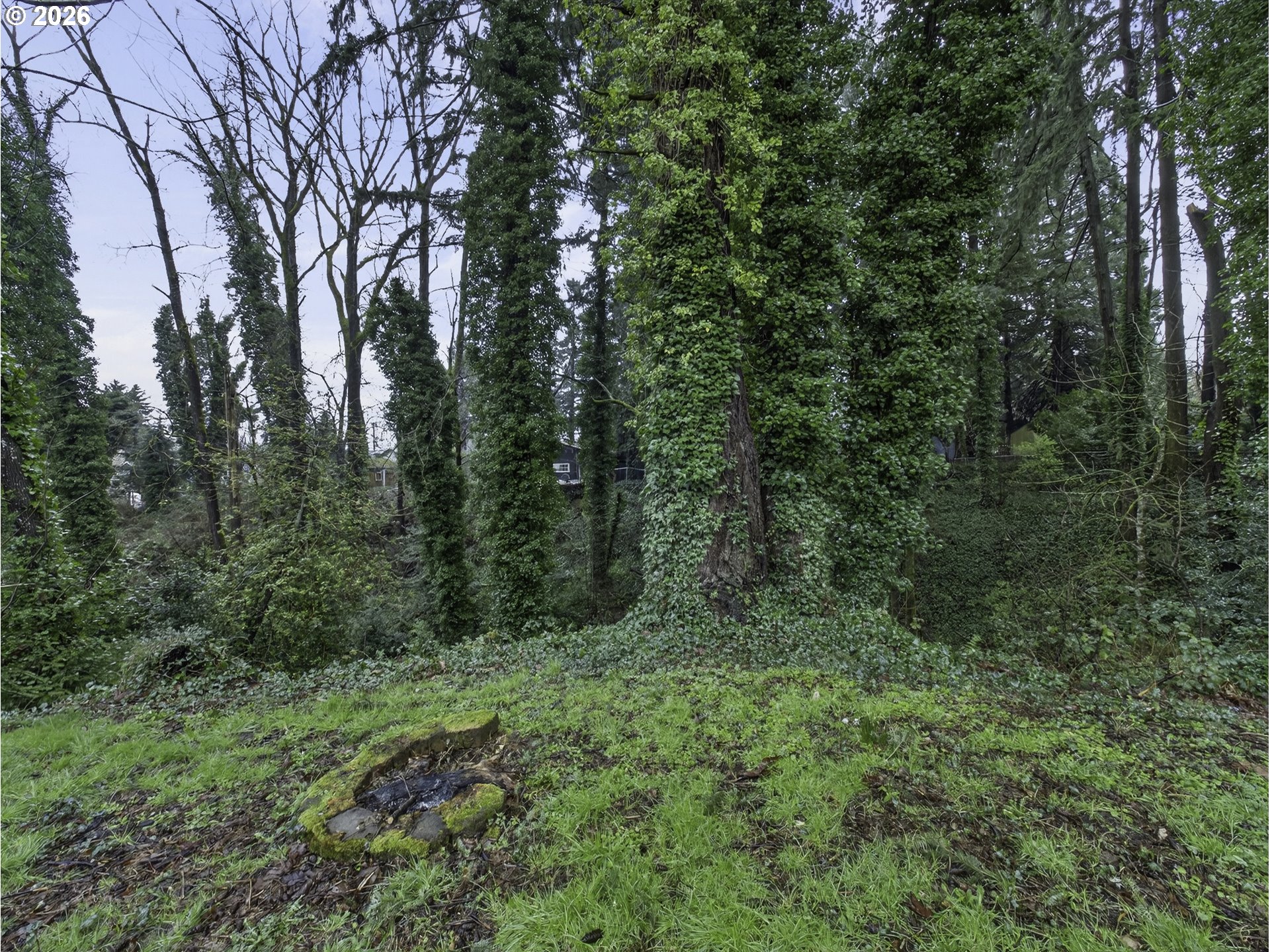 1909 9th Street Oregon City, OR 97045 - Photo 13 of 41