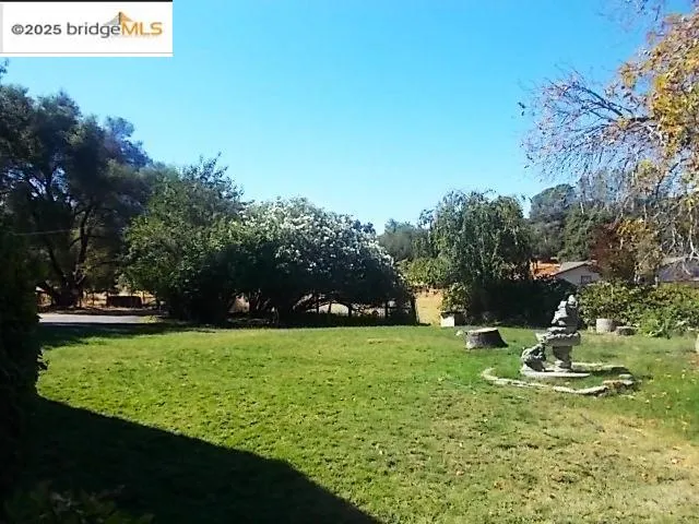 a view of a golf course with a tree