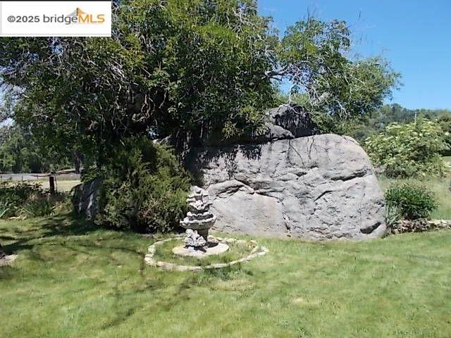 18215 Aarondale Road Sonora, CA 95370 - Photo 12 of 39 a view of a backyard with plants and trees