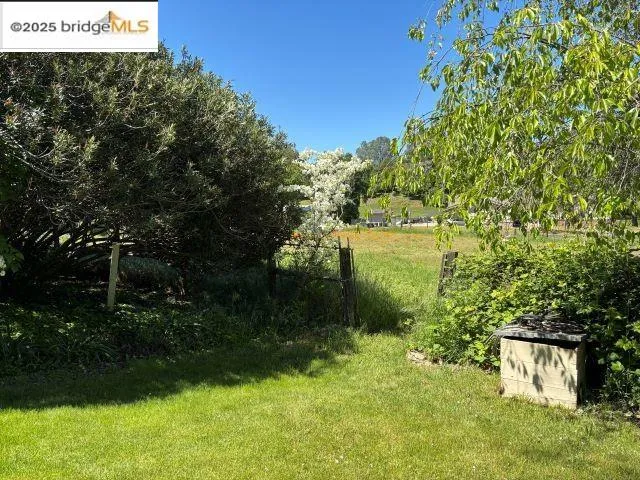 a view of a back yard