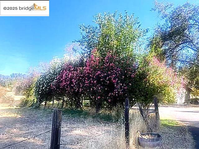 18215 Aarondale Road Sonora, CA 95370 - Photo 16 of 39 a view of a tree in the middle of a yard
