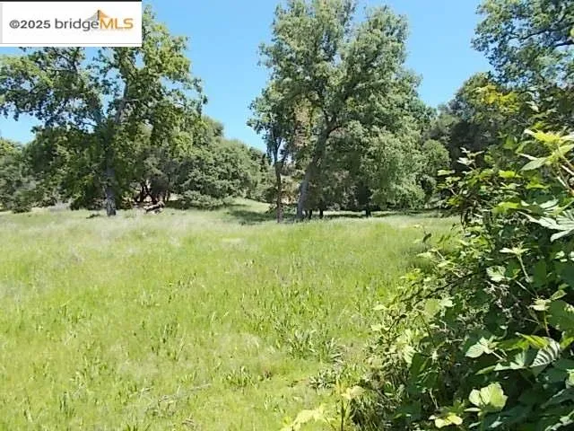 a view of yard with green space