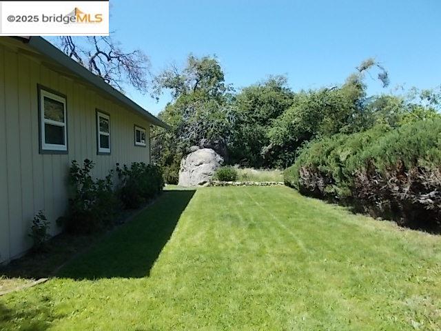 18215 Aarondale Road Sonora, CA 95370 - Photo 3 of 39 a view of a backyard with plants