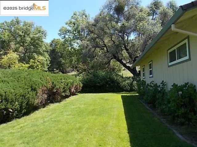 18215 Aarondale Road Sonora, CA 95370 - Photo 4 of 39 a view of a backyard