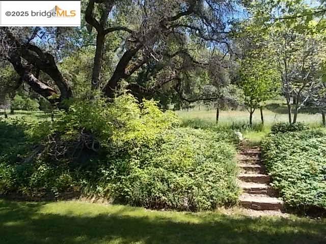 18215 Aarondale Road Sonora, CA 95370 - Photo 6 of 39 a view of a garden