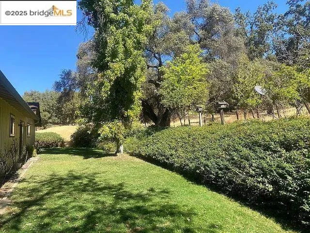 a view of backyard with green space