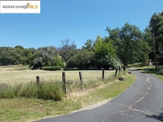 a view of a park with large trees