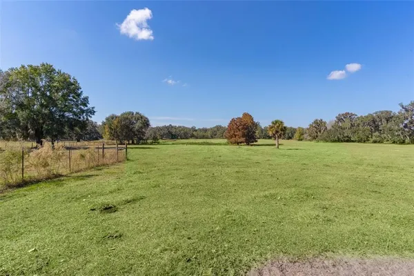 a garden view with trees