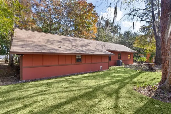 a view of a backyard with plants and large trees