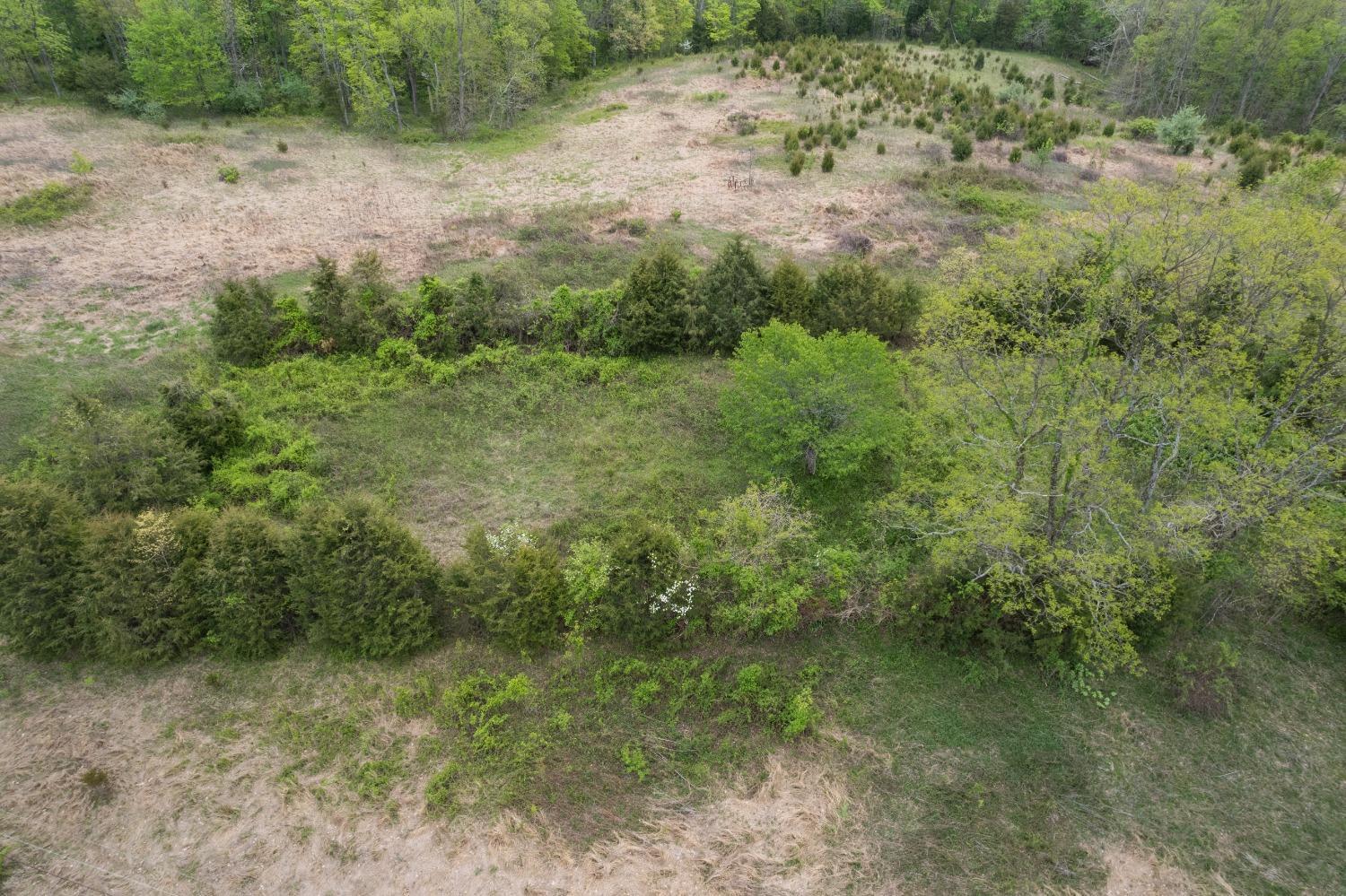 253 Bogan Road West Union, OH 45693 - Photo 15 of 22 Gallery Image 15