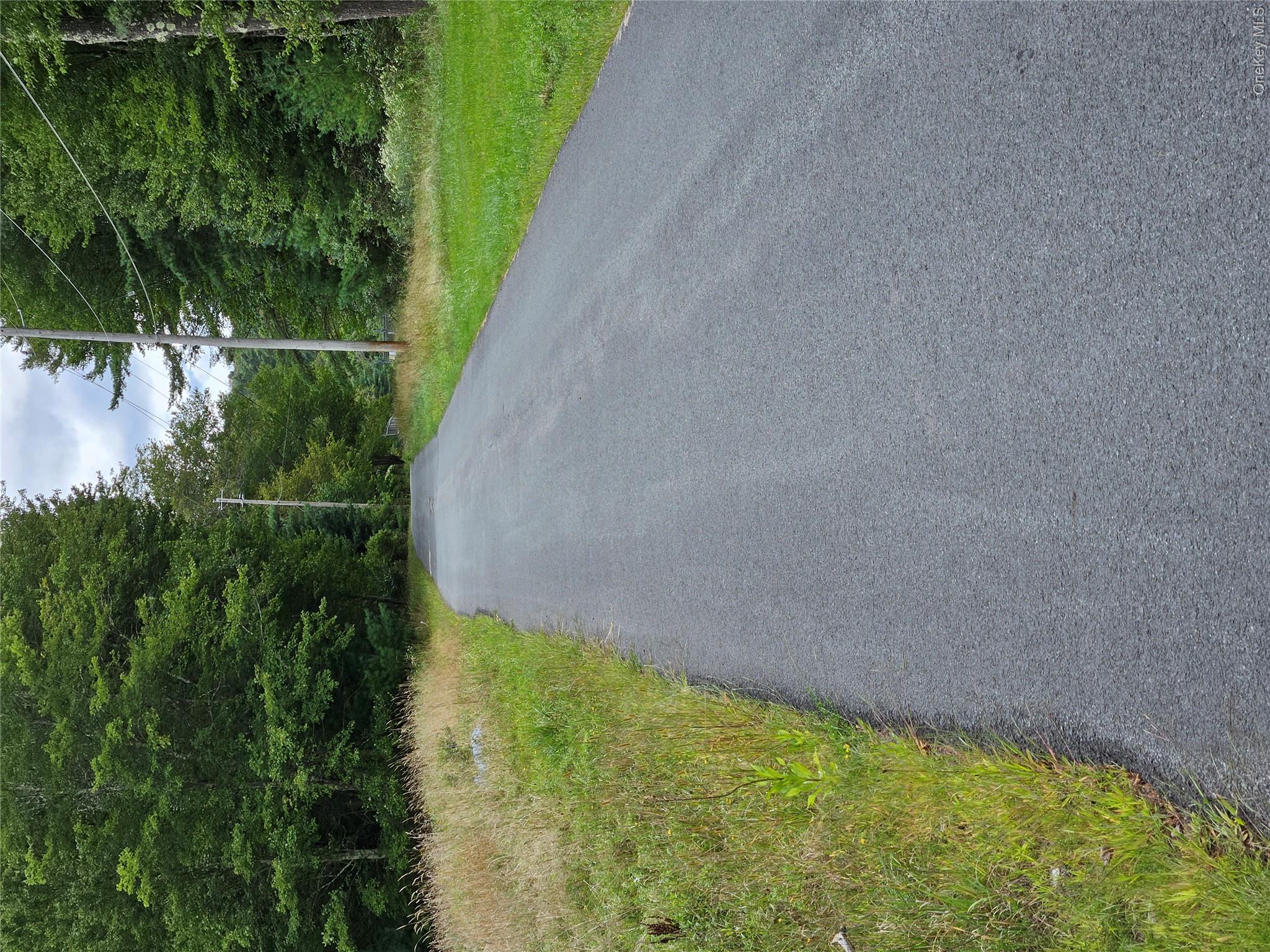 3624 State Rte 55 Kauneonga Lake, NY 12749 - Photo 21 of 48 View of asphalt road with a forest view