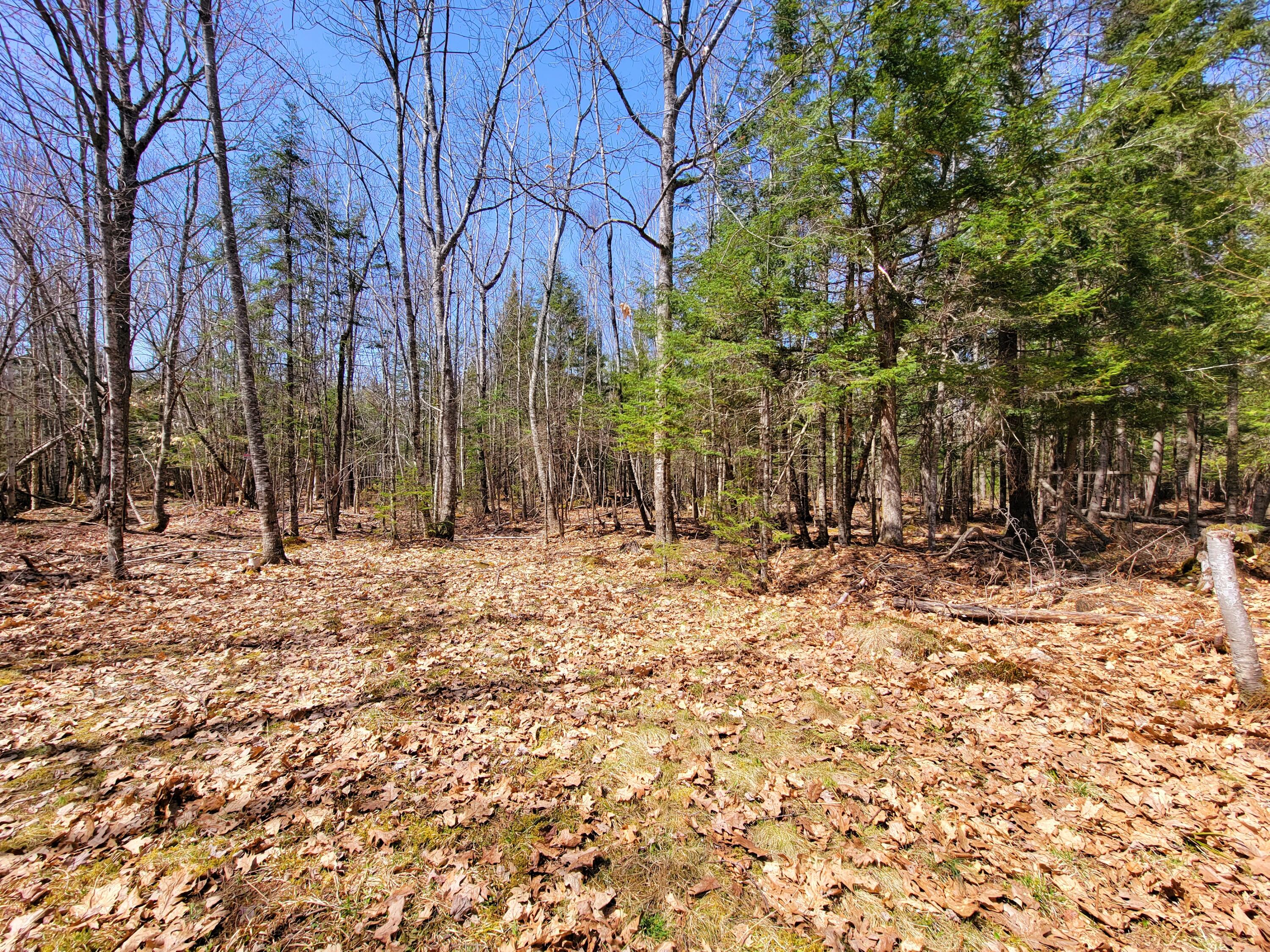 610 York Road Hermon, ME 04401 - Photo 8 of 20 backyard area