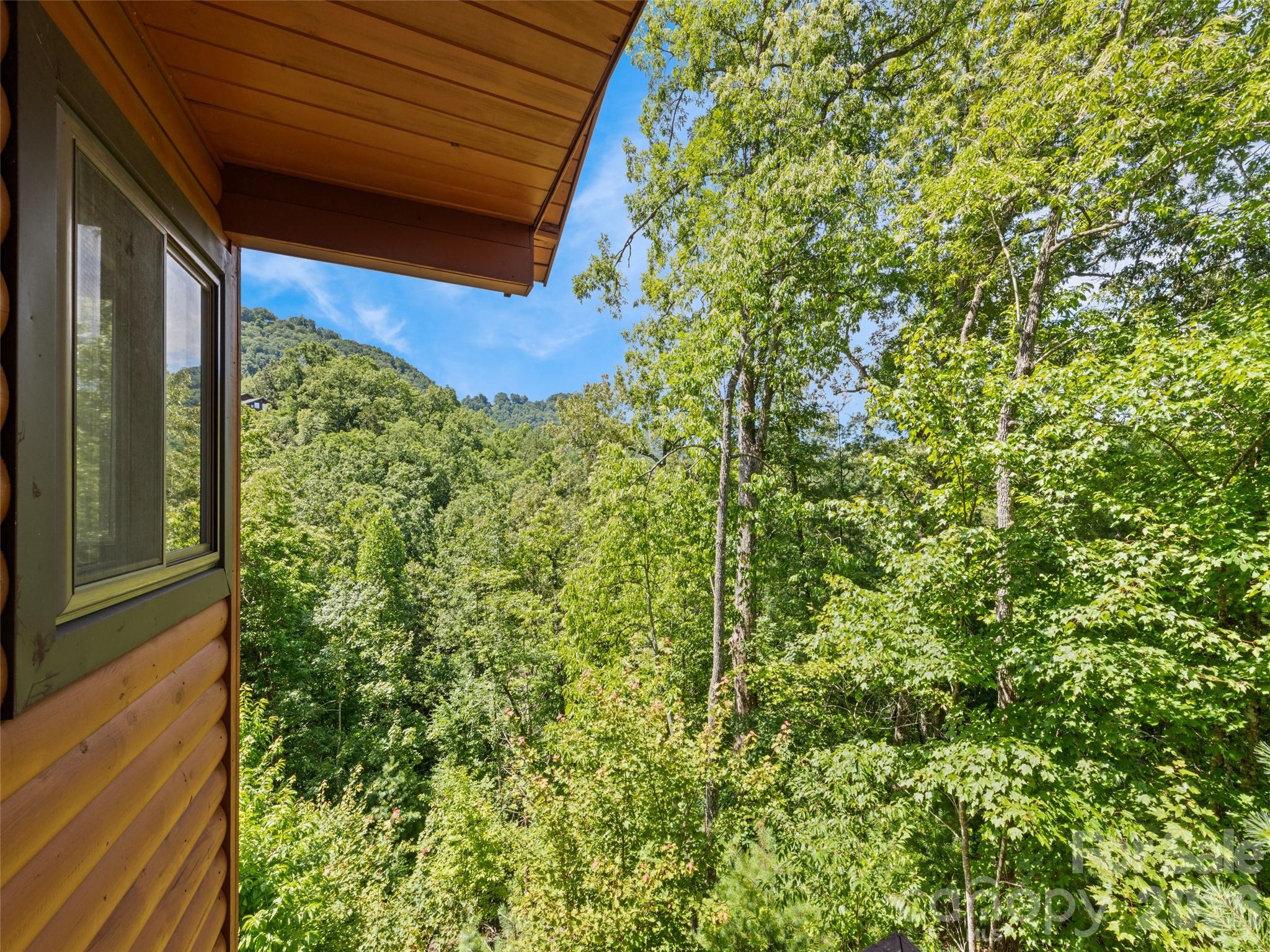 299 Blue Ridge Parkway Bryson City, NC 28713 - Photo 23 of 27