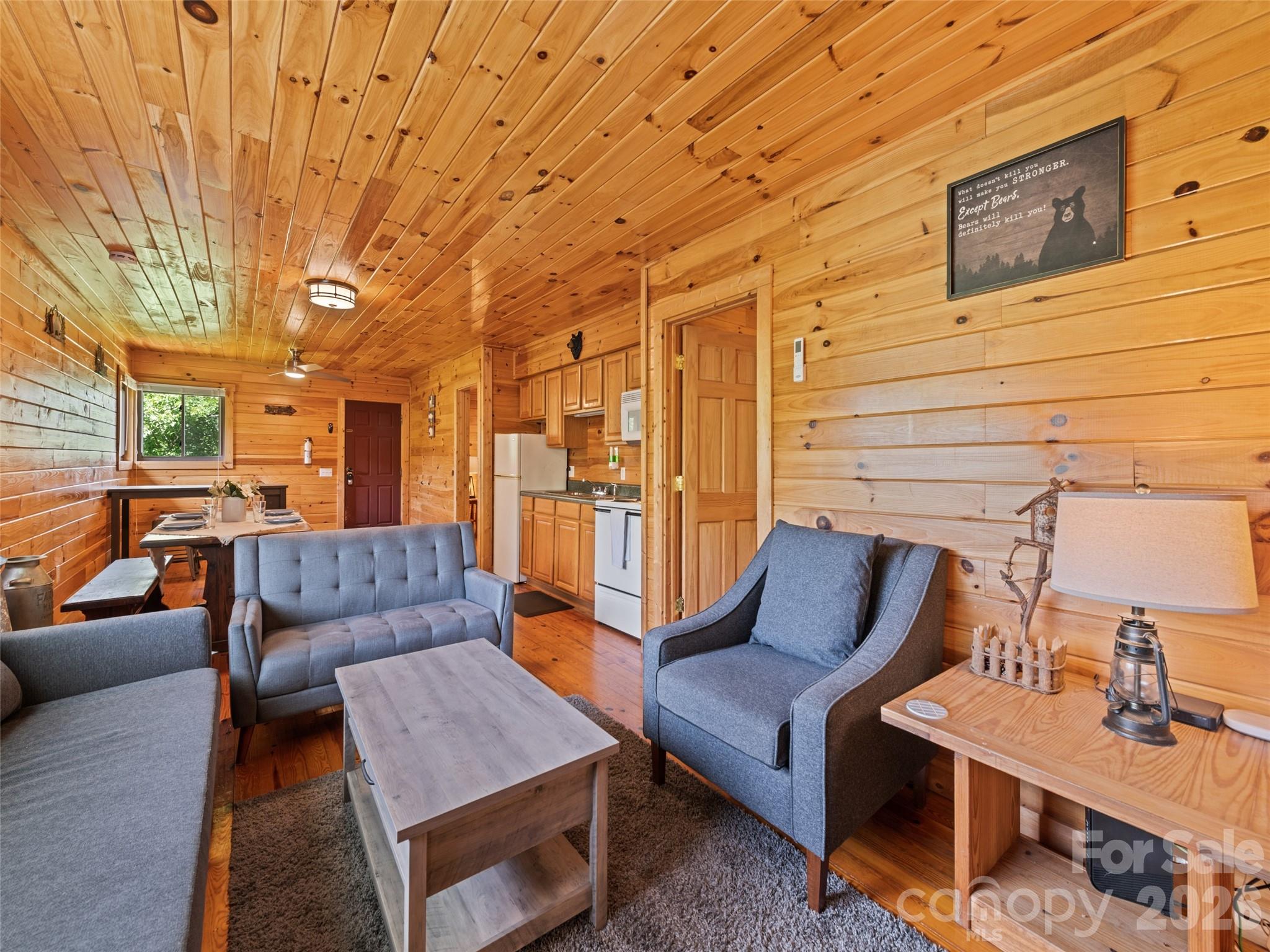 299 Blue Ridge Parkway Bryson City, NC 28713 - Photo 3 of 27