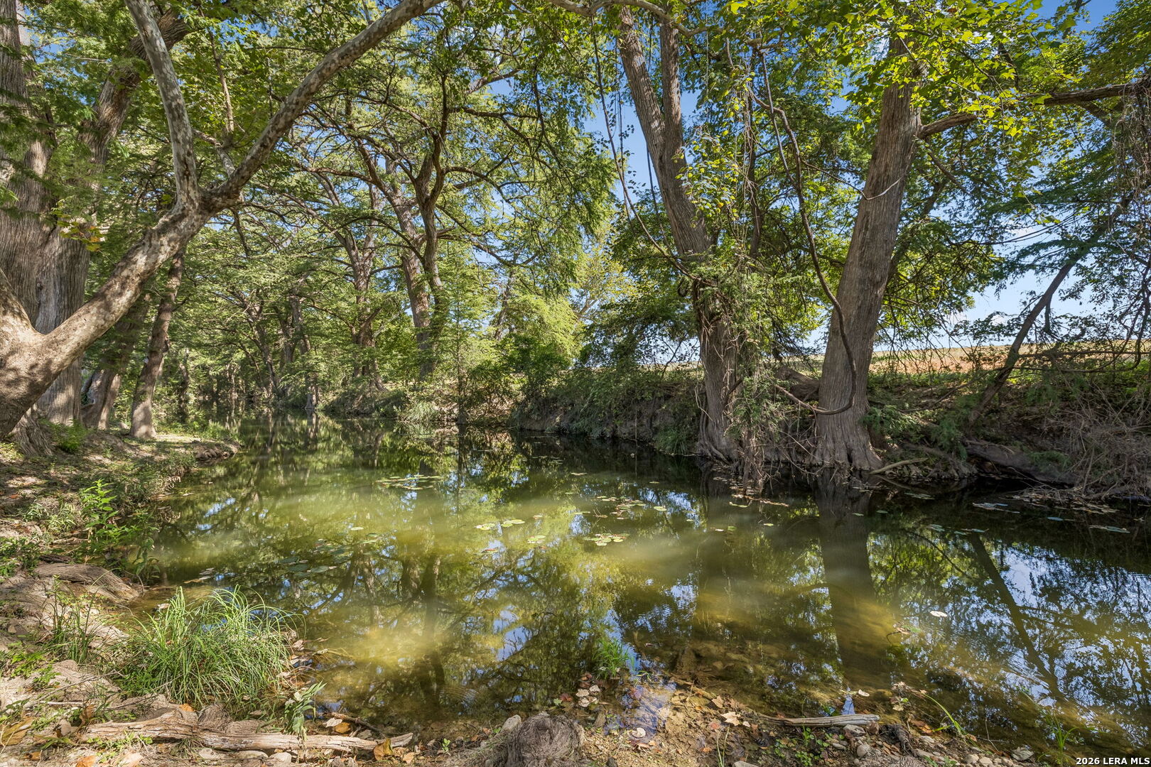 2007 County Road 271 Rio Medina, TX 78066 - Photo 45 of 72 Gallery Image 45