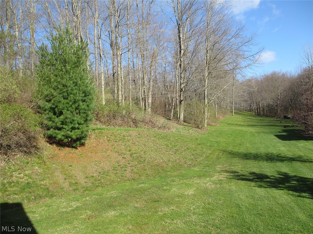 23100 Ridge Road Minerva, OH 44657 - Photo 19 of 21 Gallery Image 19