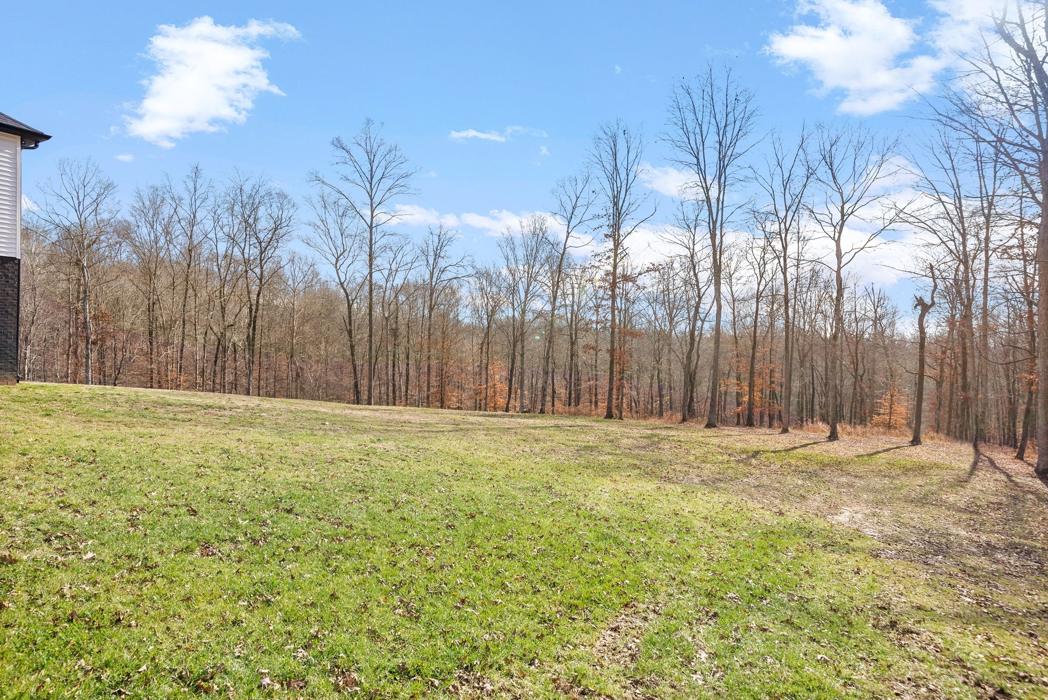 3520 Vickers Road Palmyra, TN 37142 - Photo 53 of 67 Gallery Image 53