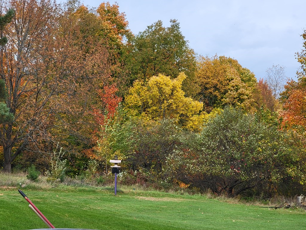 25 Miner Road Malone, NY 12953 - Photo 39 of 41 Gallery Image 39