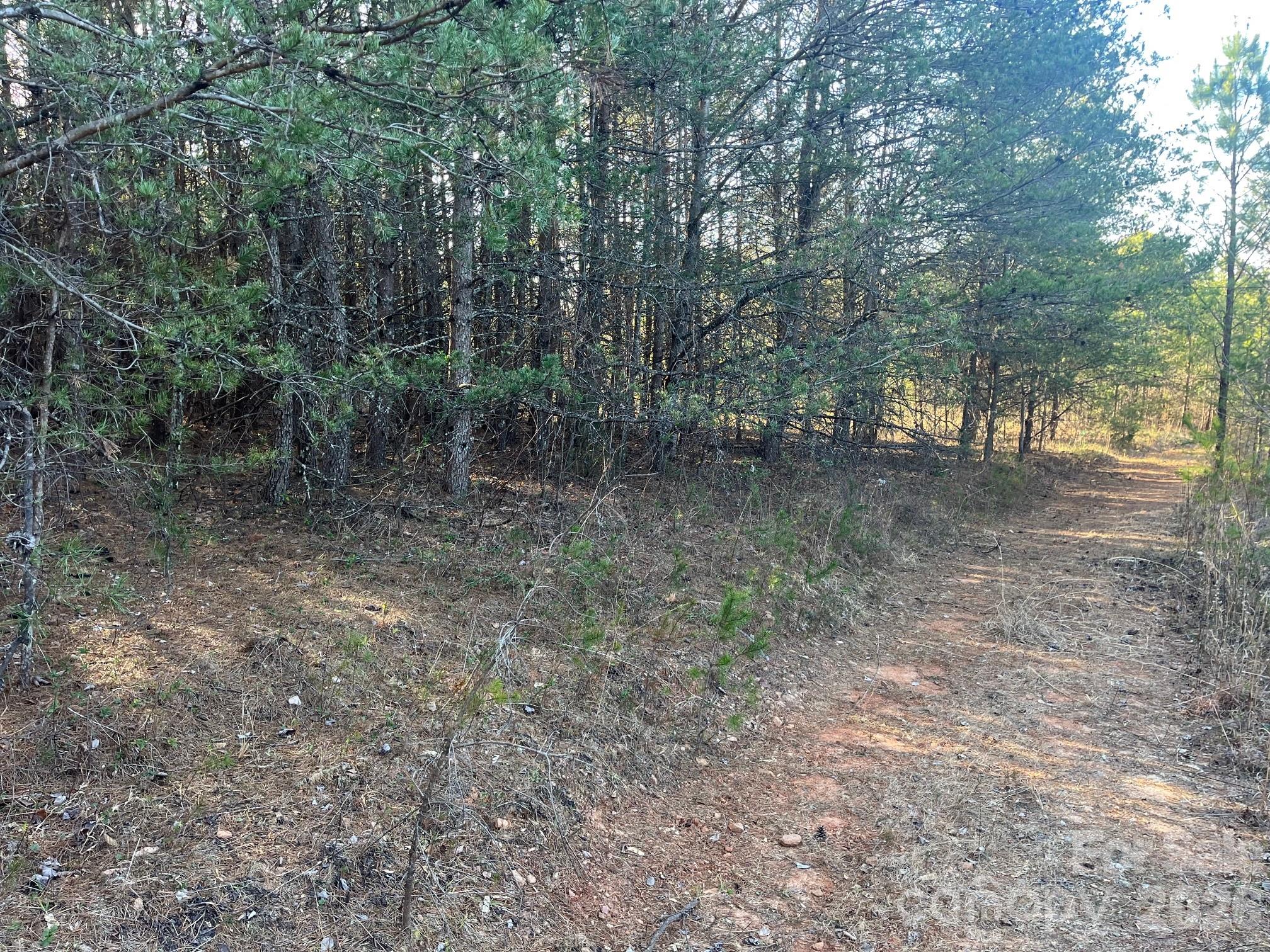 Tbd Southern Way Nebo, NC 28761 - Photo 7 of 22