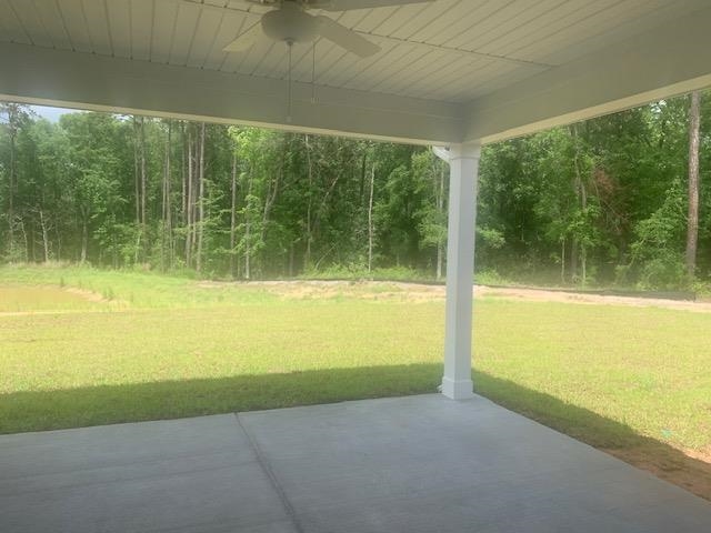 216 Blue Wing Court Conway, SC 29527 - Photo 10 of 11