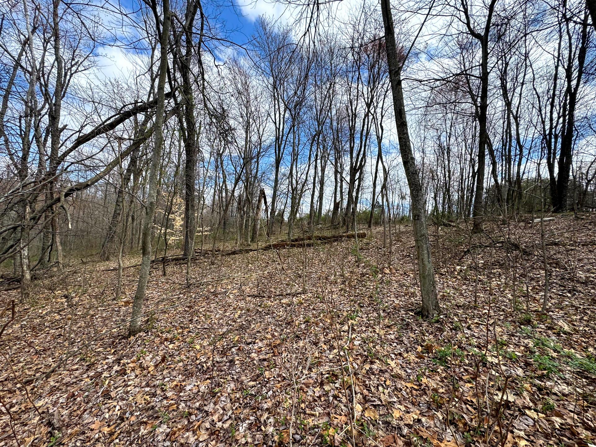 100 Golf Course Road, Unit TRACT 12 SKYLINE ACRES) Waverly, OH 45690 - Photo 12 of 44 CT-12