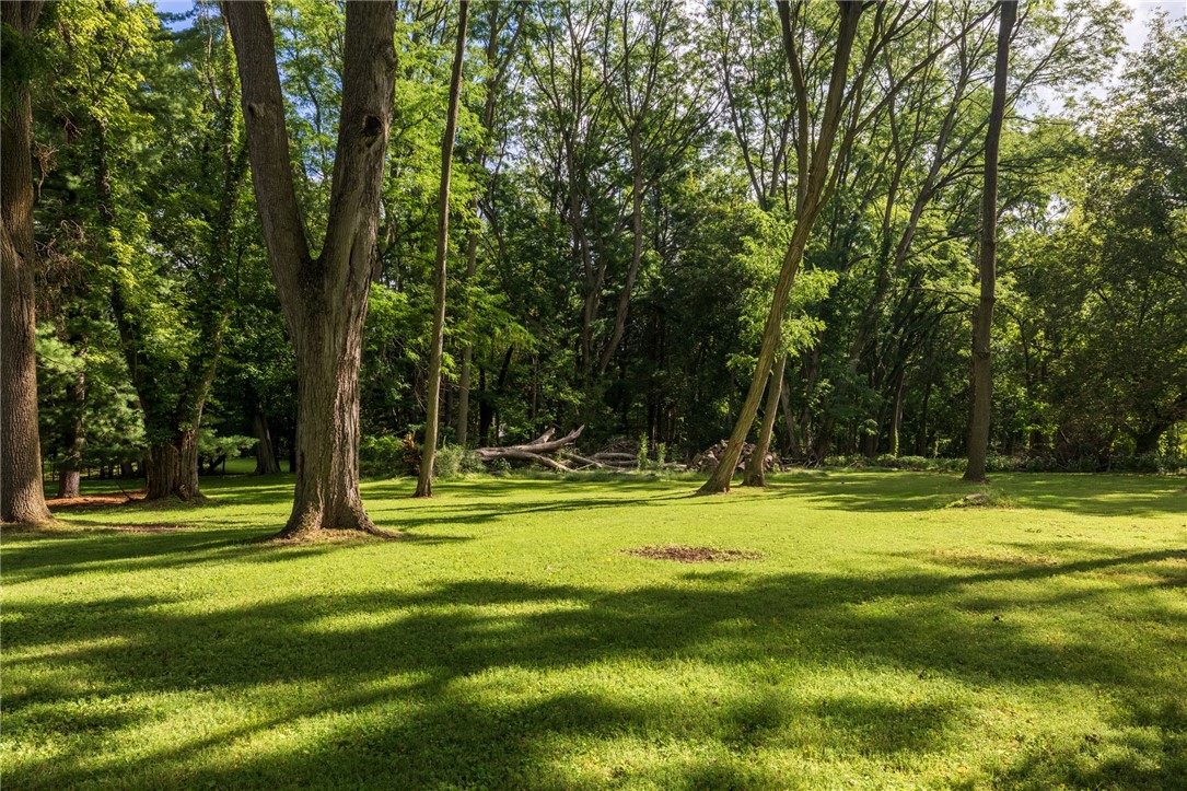 166 Moseley Road Perinton, NY 14450 - Photo 42 of 50 Gallery Image 42