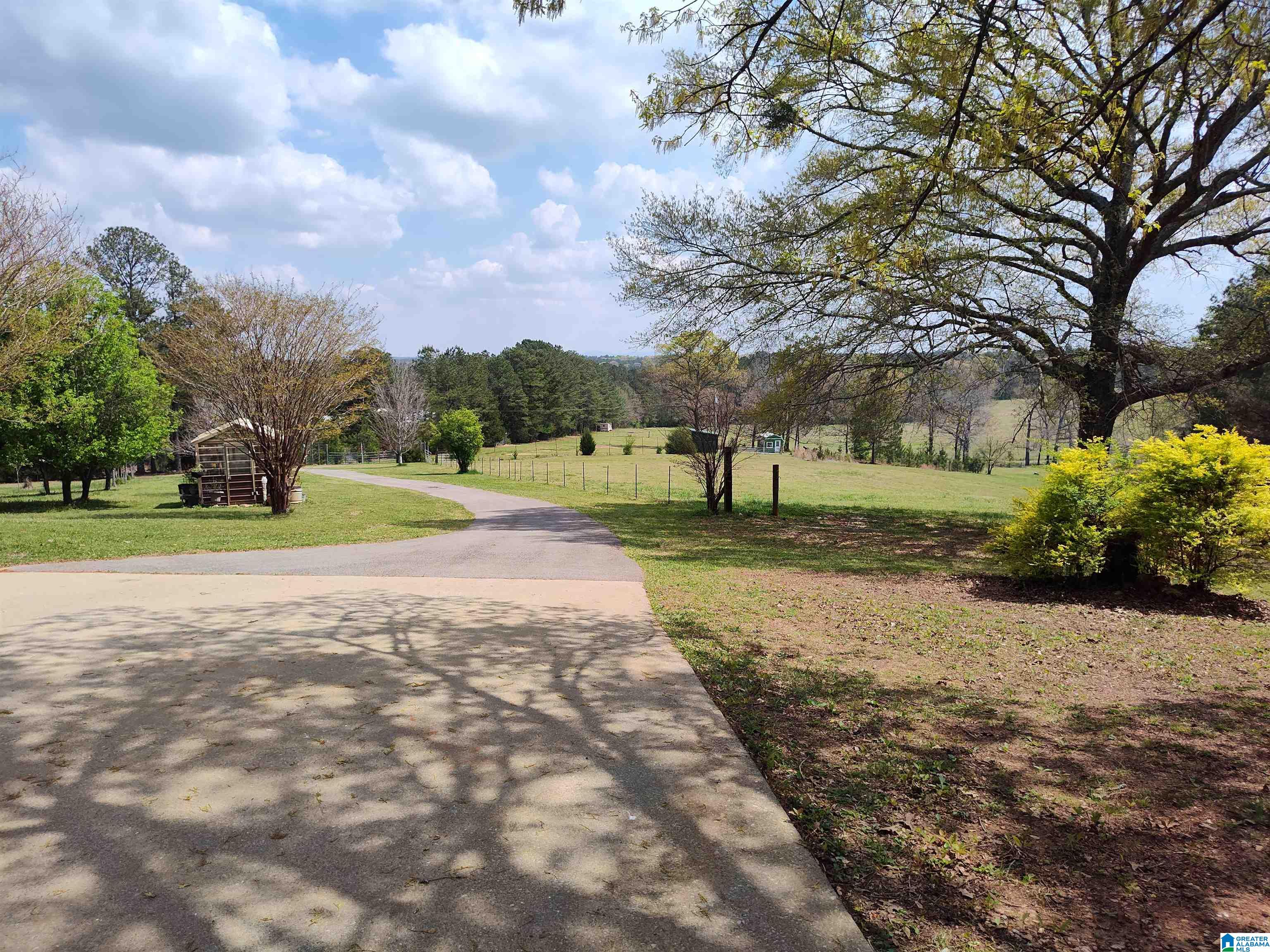 75 Mary Lee Lane Alpine, AL 35014 - Photo 3 of 77