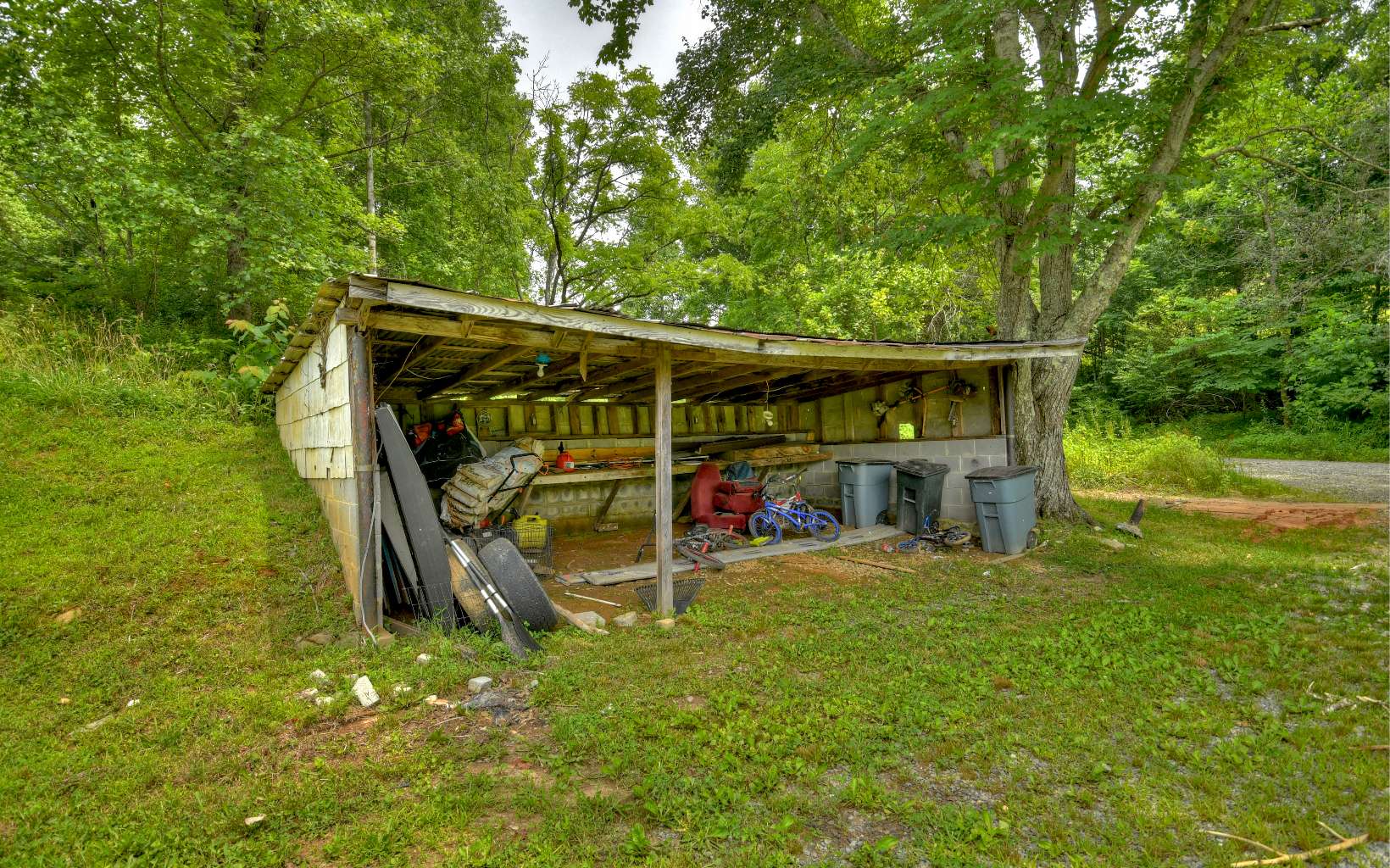 789 Salem Road Mineral Bluff, GA 30559 - Photo 36 of 41 Additional View