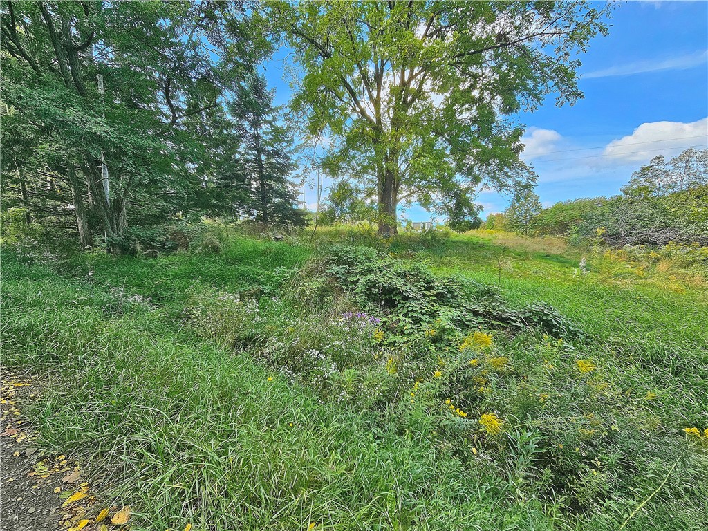 8237 Ford Road Pulteney, NY 14418 - Photo 41 of 48 Gallery Image 41